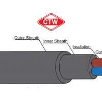 สายIEC10(NYY) 2 CORE "CTW" 0